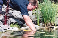 IMAS Pond Maintenance