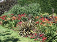 IMAS Garden Landscaping