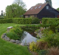 IMAS Garden Pond & Landscaping