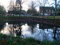 IMAS Preston Village Pond